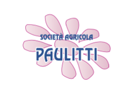 PAULITTI - Logo